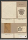 Stictodiscus pulchellus Truan et Witt. (de-Toni-Nr.: Genus 205, Species 5249) Zeichnungen Sammlung Grunow Nr. 9041 (NHMW-BOT-W0378769)